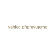 Akypo na koberce nepěnivé strojní 1l