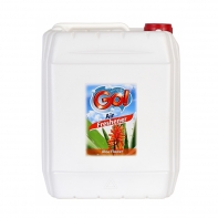 GO! AIR FRESHENER ALOE FLOWER 5l