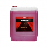 PANTRA PROFESIONAL 05 5l sanitární čistič