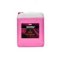 PANTRA PROFESIONAL 11 5l RED FEELING