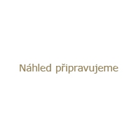 Vanish čišt.kober.3v1 strojní 500ml
